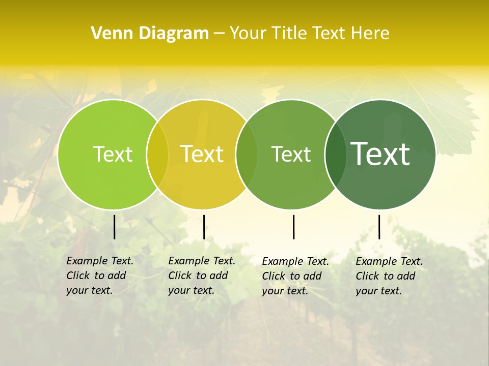 Napa Beauty Agriculture PowerPoint Template