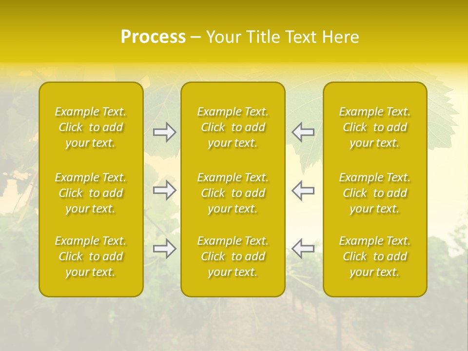 Napa Beauty Agriculture PowerPoint Template
