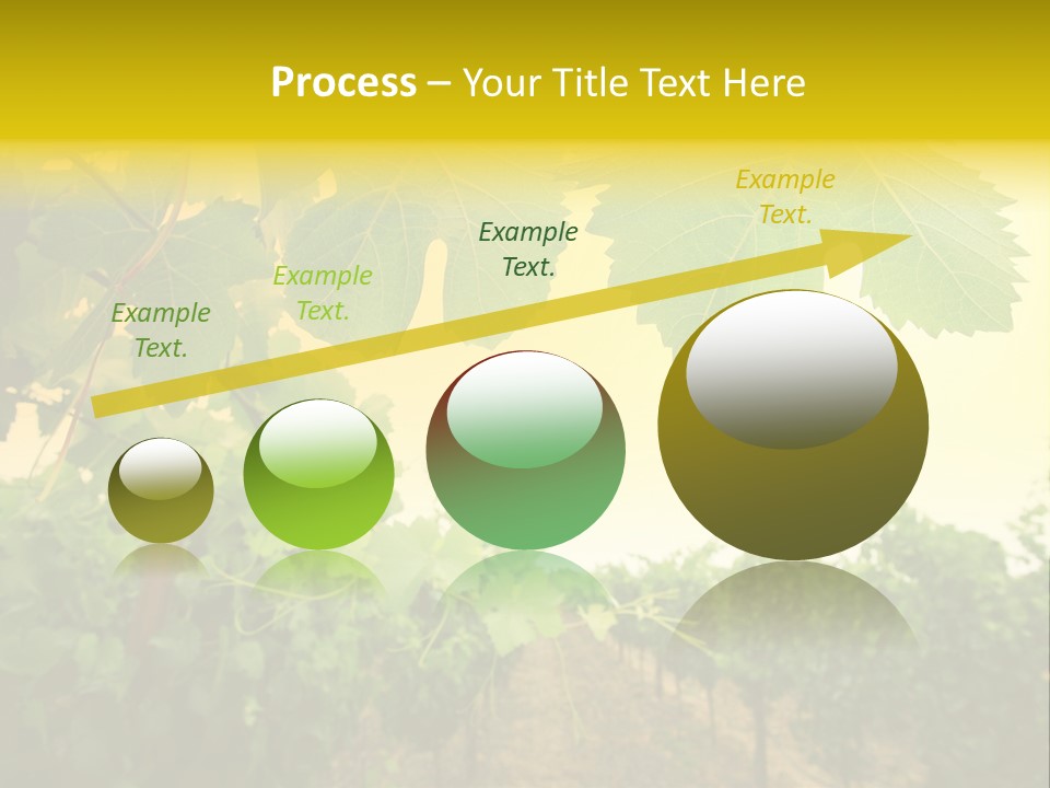 Napa Beauty Agriculture PowerPoint Template