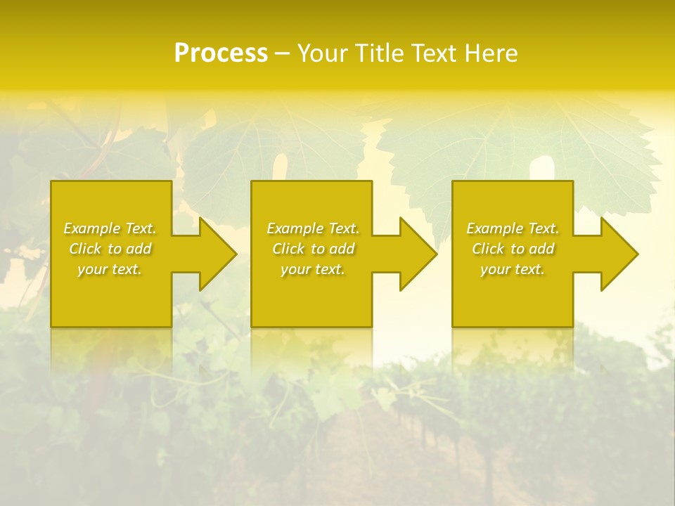 Napa Beauty Agriculture PowerPoint Template