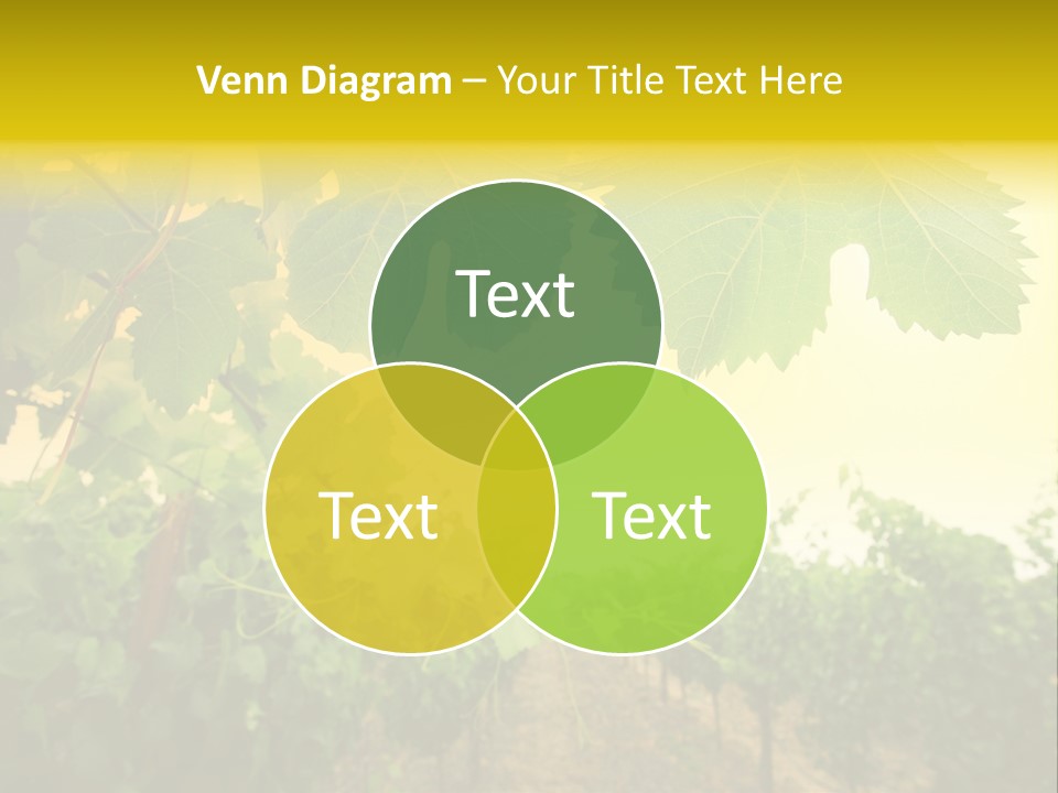 Napa Beauty Agriculture PowerPoint Template