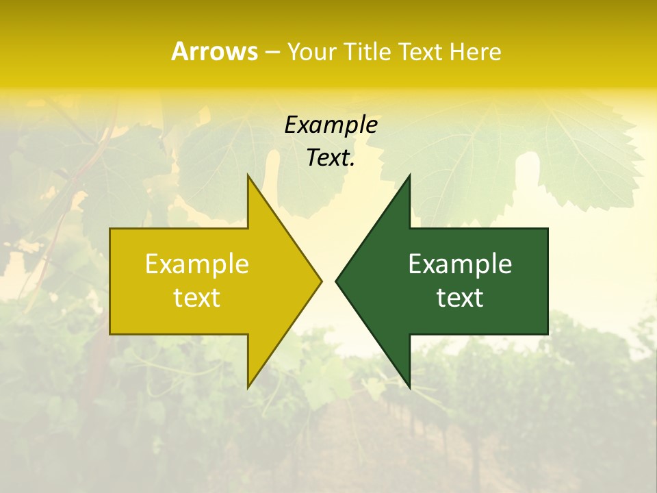 Napa Beauty Agriculture PowerPoint Template