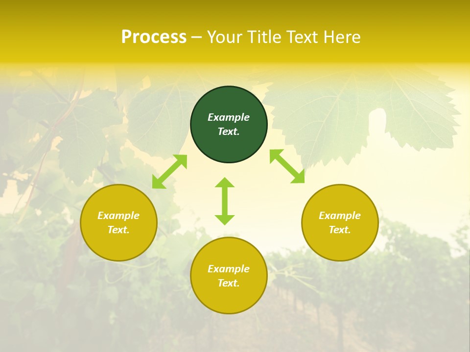 Napa Beauty Agriculture PowerPoint Template