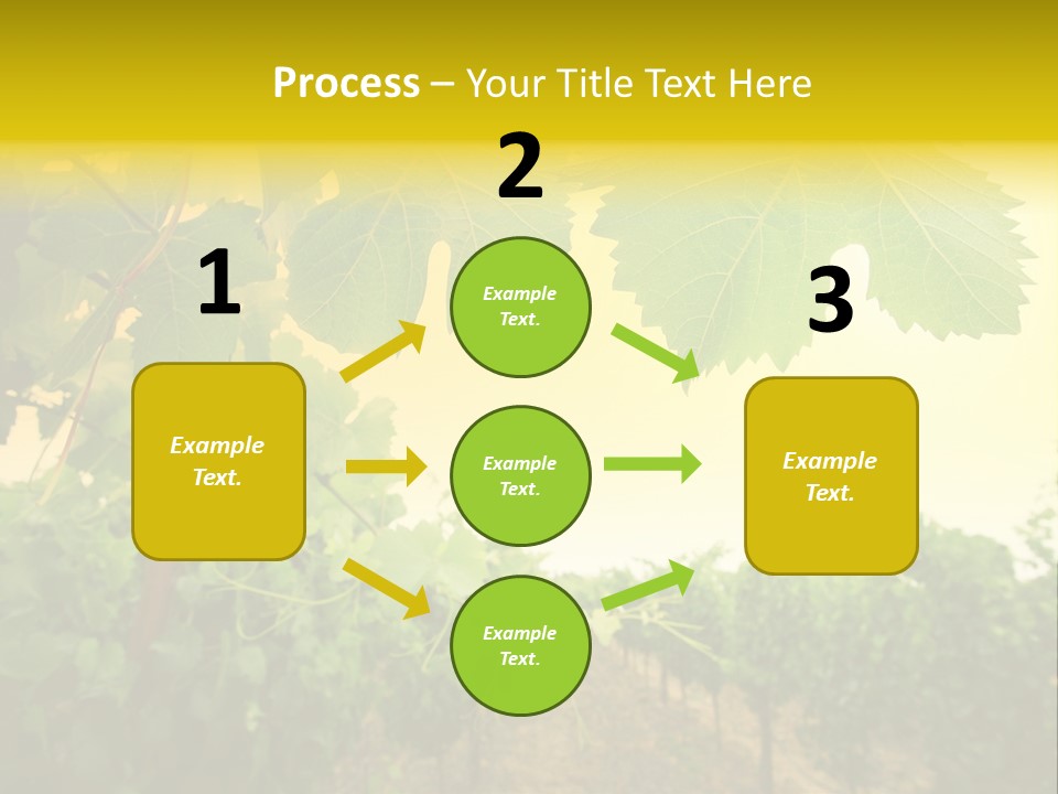Napa Beauty Agriculture PowerPoint Template