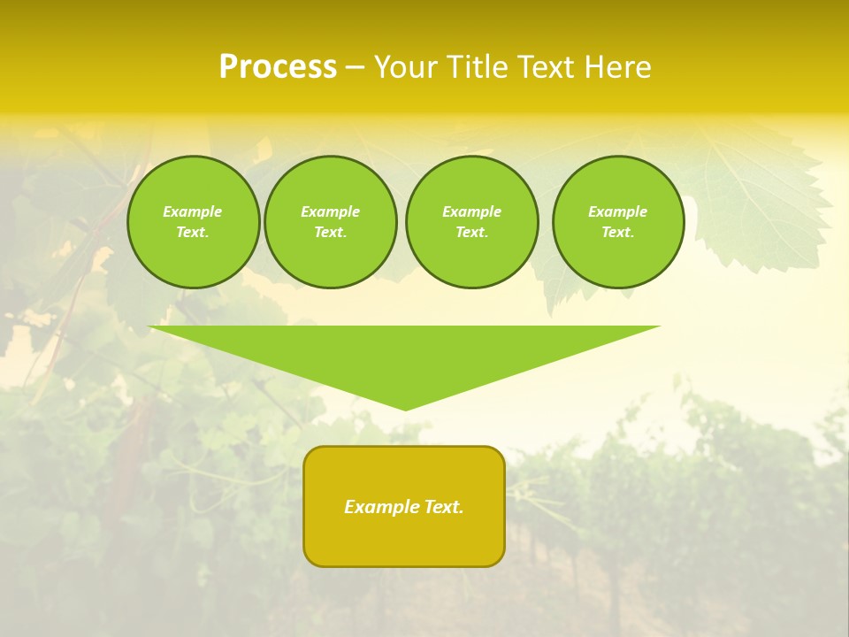 Napa Beauty Agriculture PowerPoint Template