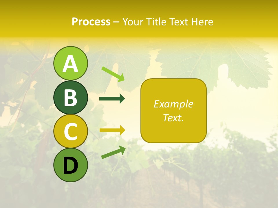 Napa Beauty Agriculture PowerPoint Template