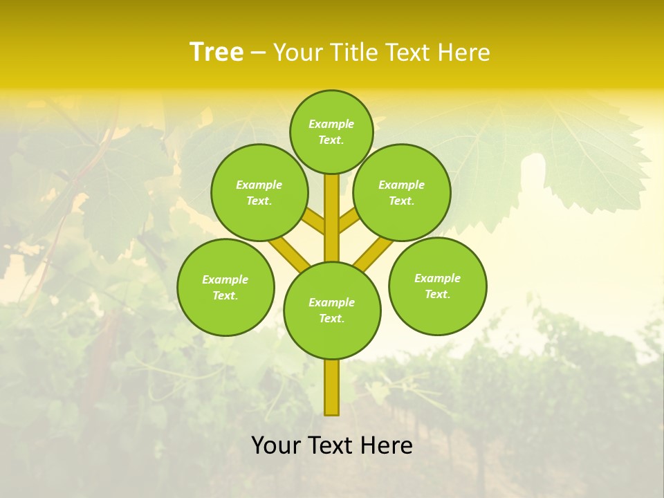 Napa Beauty Agriculture PowerPoint Template