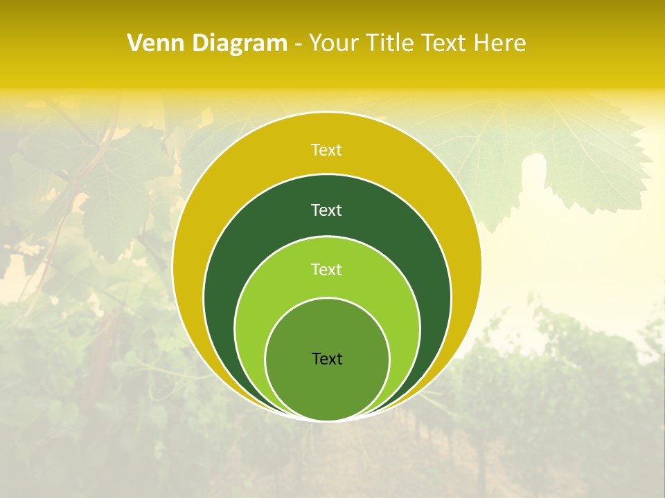 Napa Beauty Agriculture PowerPoint Template