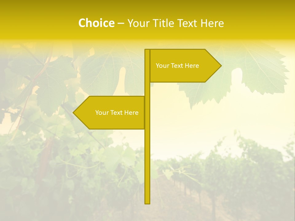 Napa Beauty Agriculture PowerPoint Template