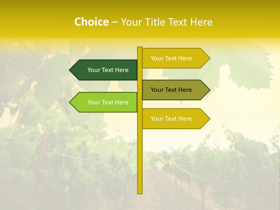 Napa Beauty Agriculture PowerPoint Template