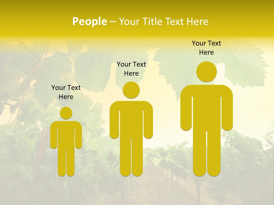 Napa Beauty Agriculture PowerPoint Template