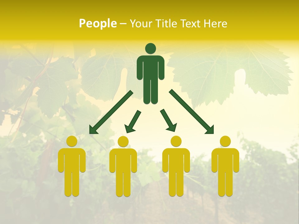 Napa Beauty Agriculture PowerPoint Template