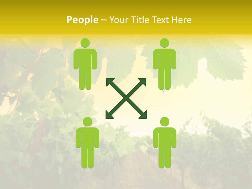 Napa Beauty Agriculture PowerPoint Template