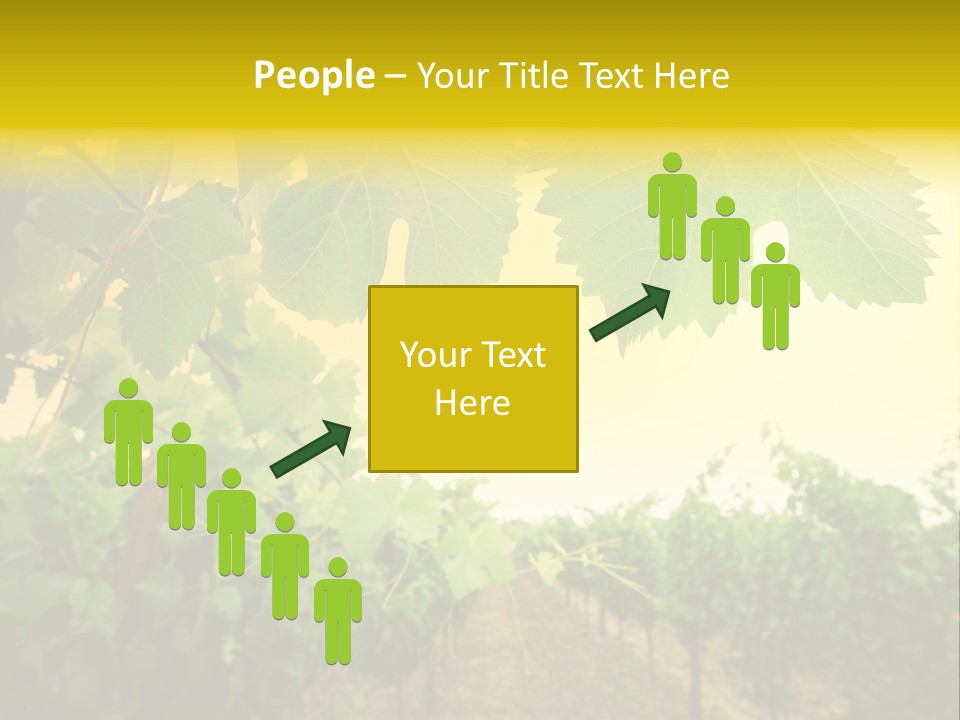 Napa Beauty Agriculture PowerPoint Template