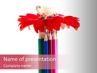 Growth Freshness Events PowerPoint Template