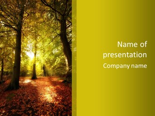 Rest Yellow Picture PowerPoint Template