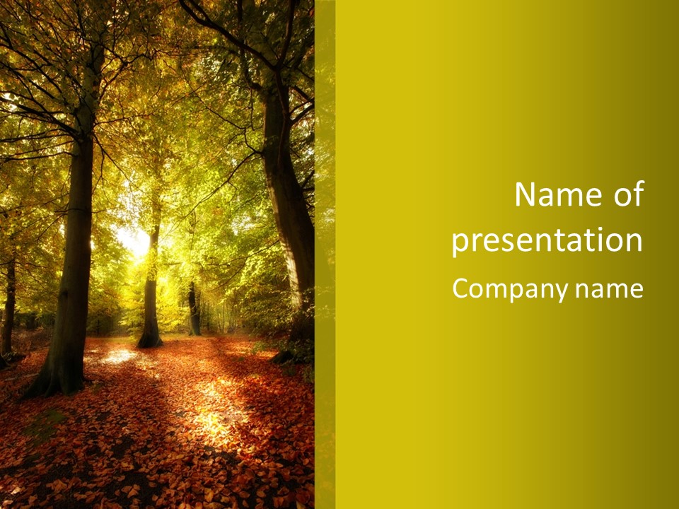 Rest Yellow Picture PowerPoint Template