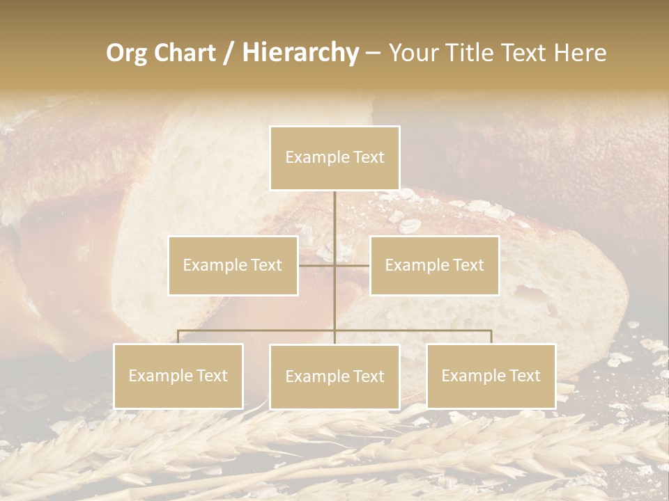 Wheat Texture Closeup PowerPoint Template