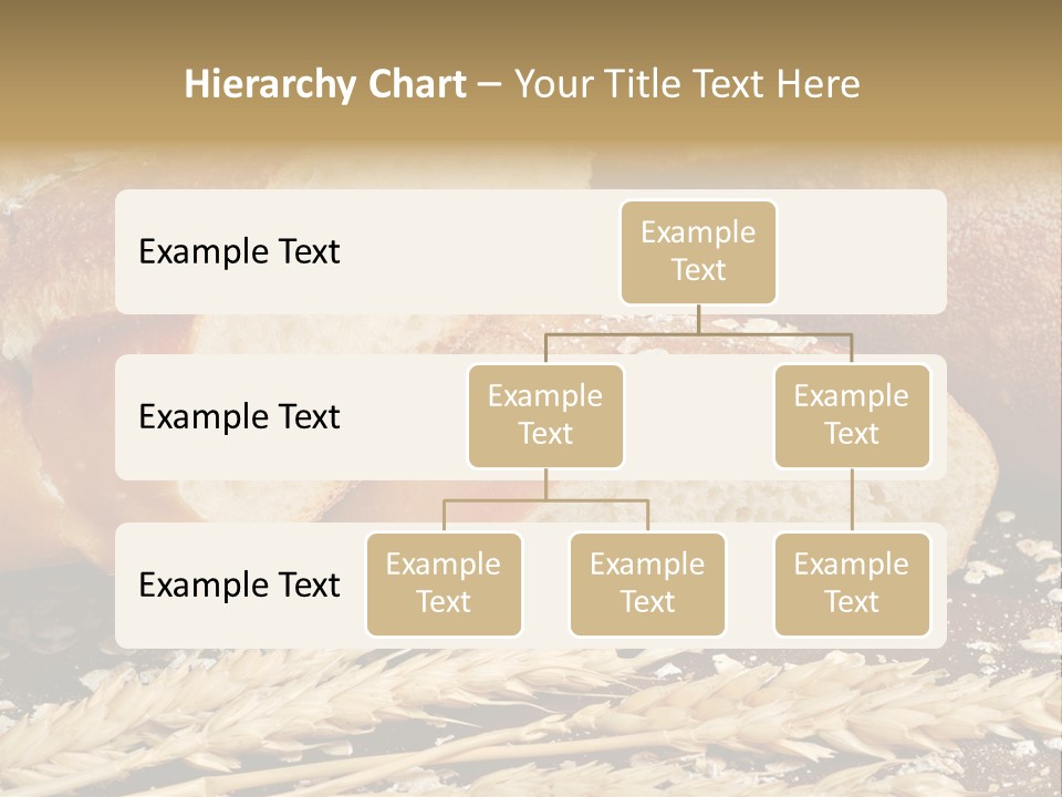 Wheat Texture Closeup PowerPoint Template