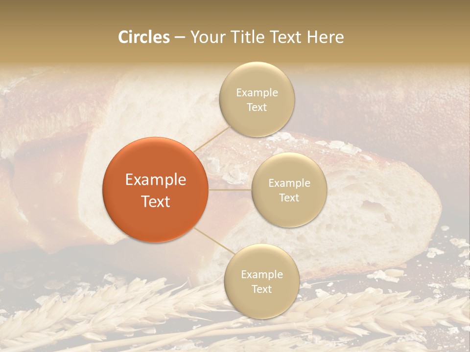 Wheat Texture Closeup PowerPoint Template