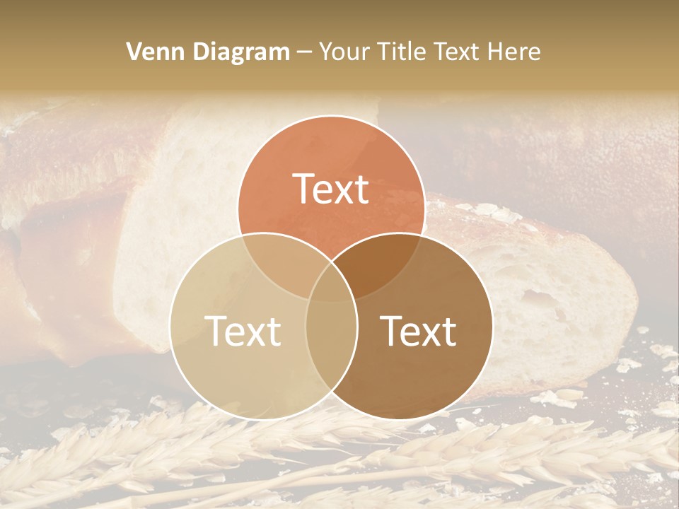 Wheat Texture Closeup PowerPoint Template