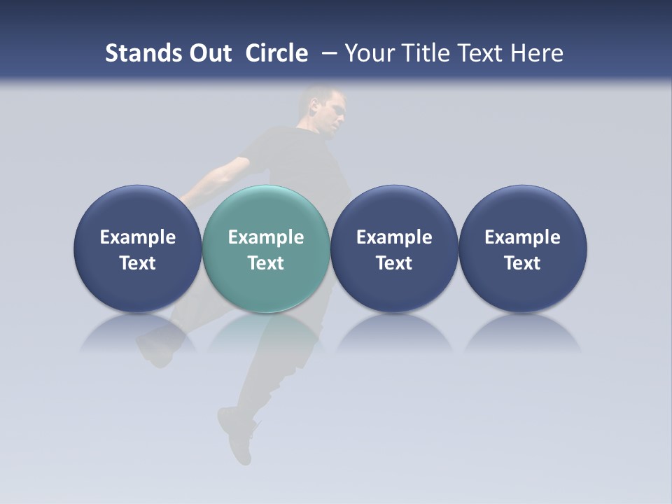 Spring Male Fly PowerPoint Template