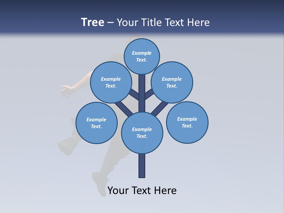 Spring Male Fly PowerPoint Template