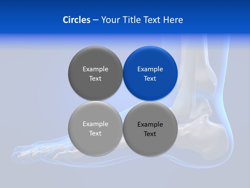 Pain Chondral Ankle PowerPoint Template