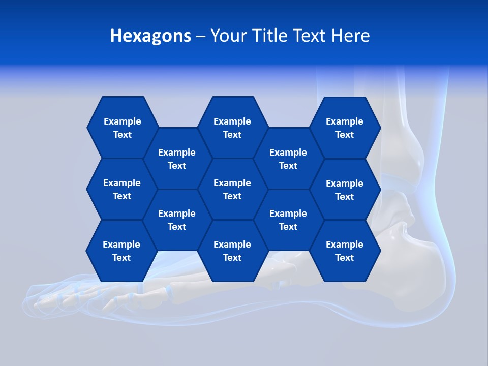 Pain Chondral Ankle PowerPoint Template