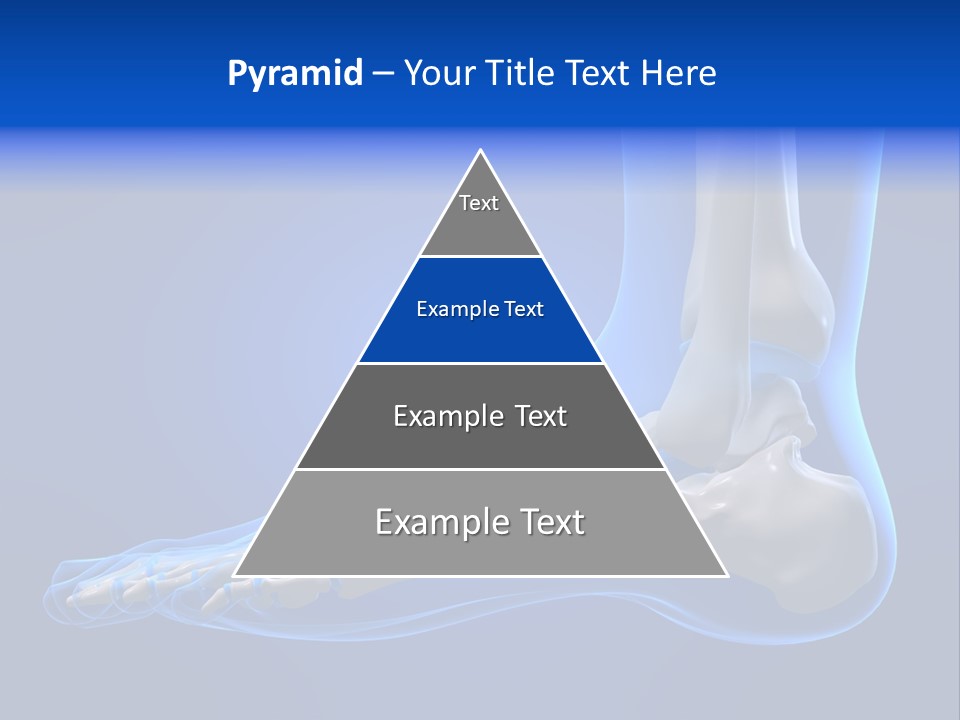 Pain Chondral Ankle PowerPoint Template
