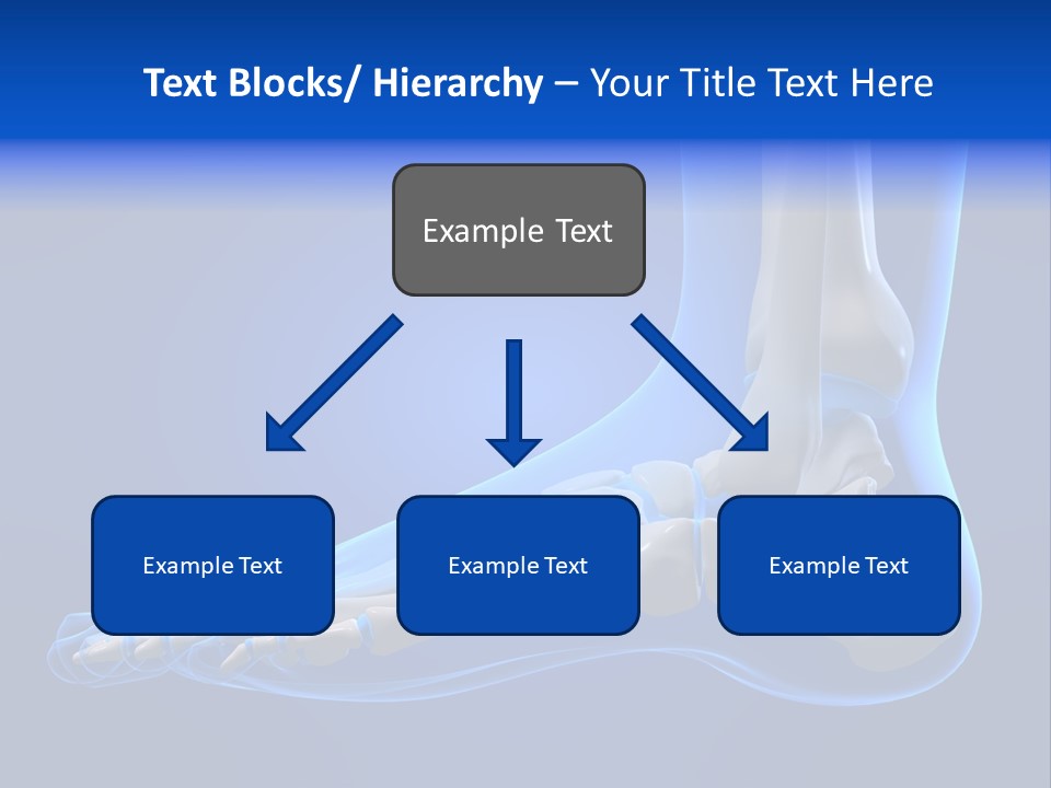 Pain Chondral Ankle PowerPoint Template