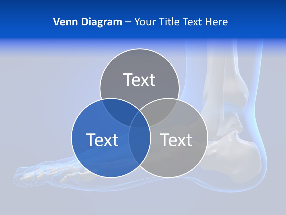 Pain Chondral Ankle PowerPoint Template