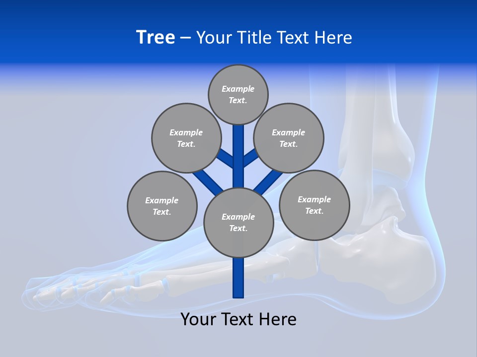 Pain Chondral Ankle PowerPoint Template