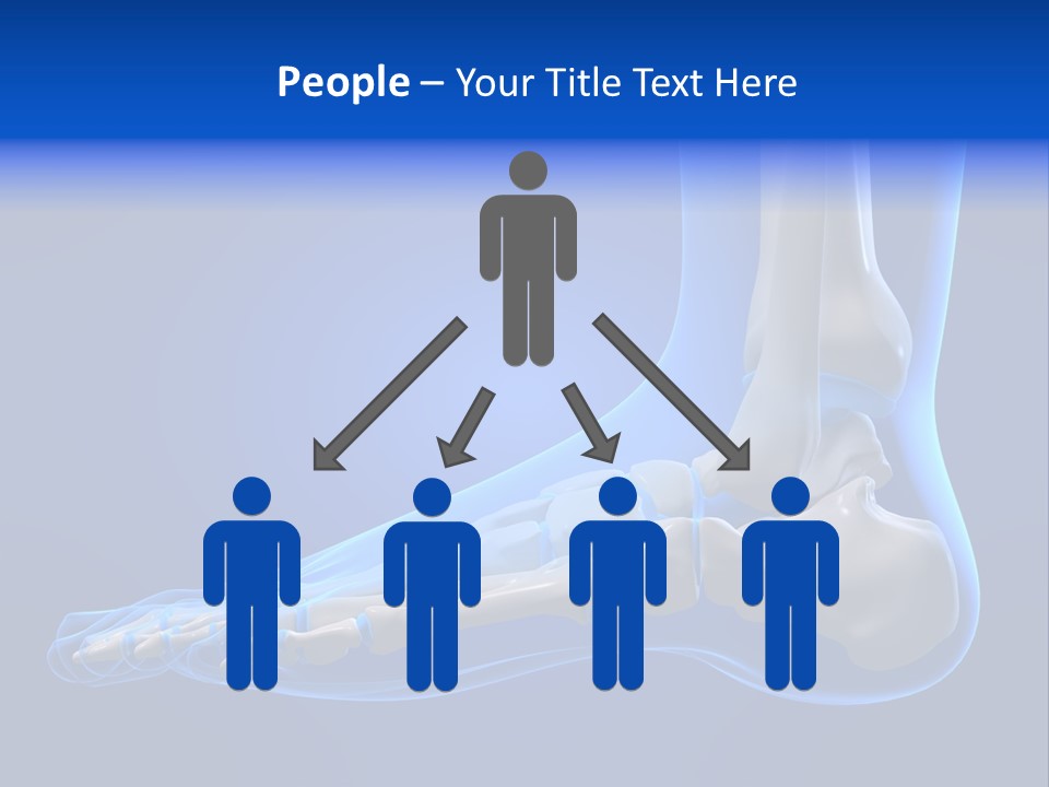 Pain Chondral Ankle PowerPoint Template