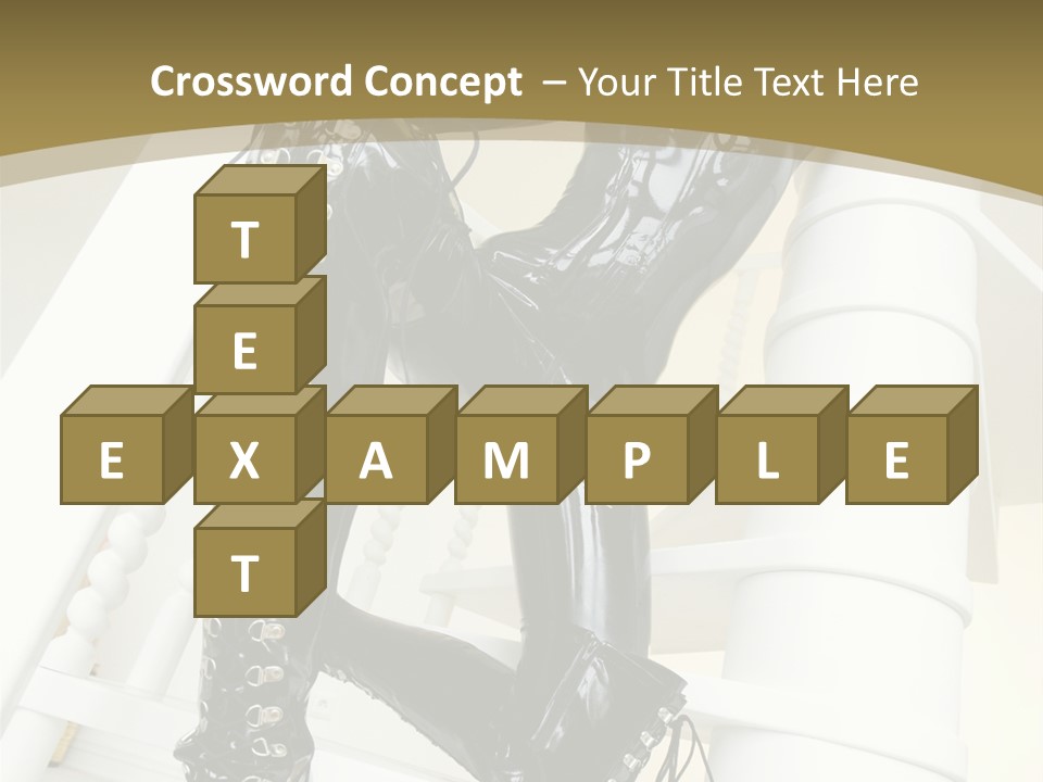 A Woman In A Black Cat Suit Is Posing On A Pole PowerPoint Template