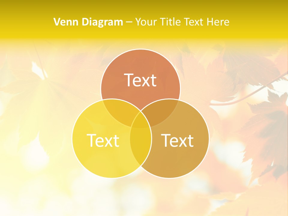 Plant Maple Summer PowerPoint Template