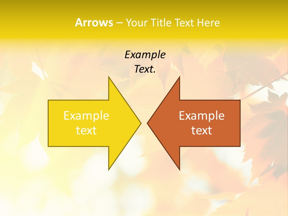 Plant Maple Summer PowerPoint Template