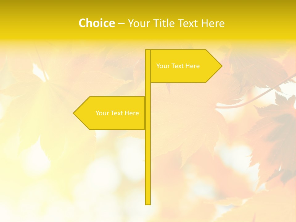 Plant Maple Summer PowerPoint Template