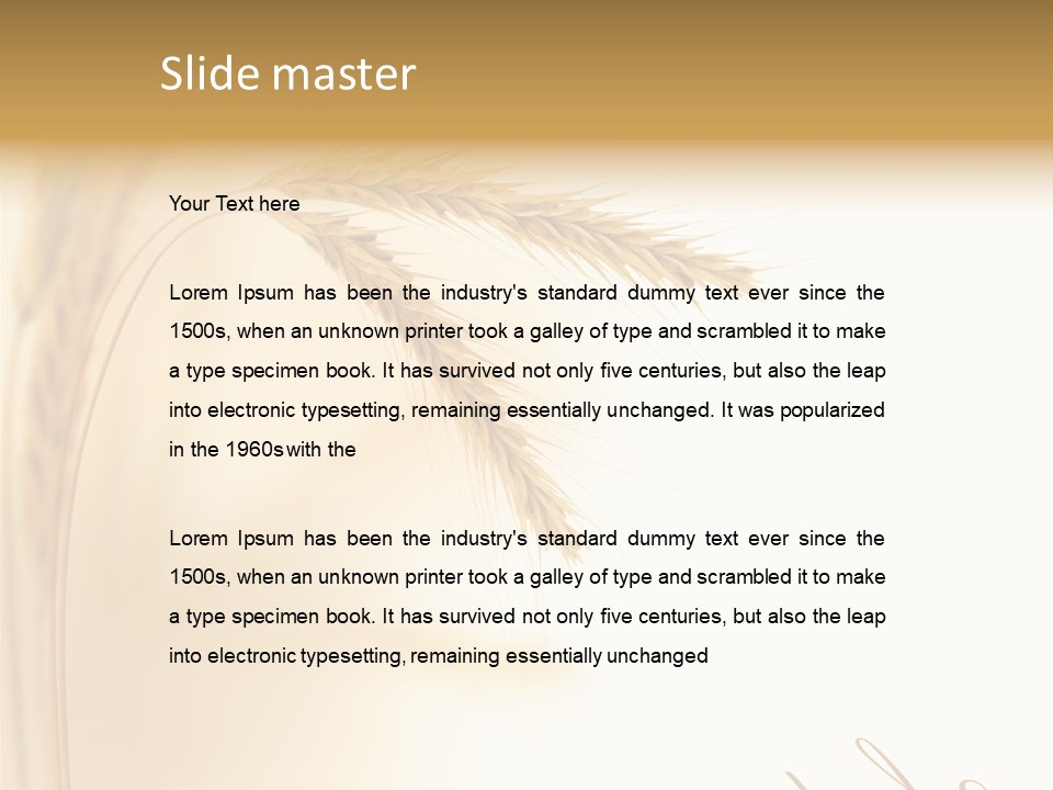 Wheat Agricultural Plant PowerPoint Template