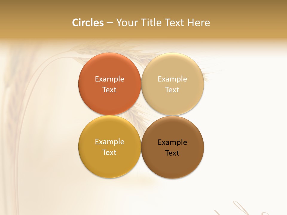 Wheat Agricultural Plant PowerPoint Template