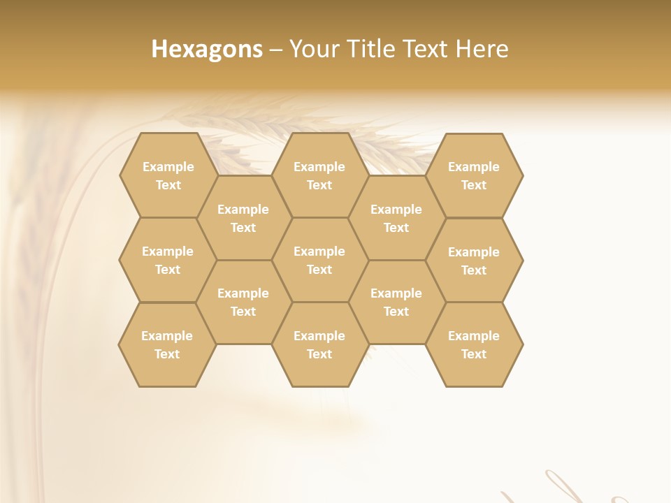 Wheat Agricultural Plant PowerPoint Template