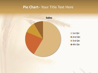 Wheat Agricultural Plant PowerPoint Template
