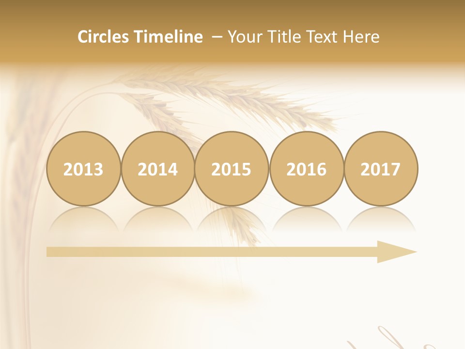 Wheat Agricultural Plant PowerPoint Template