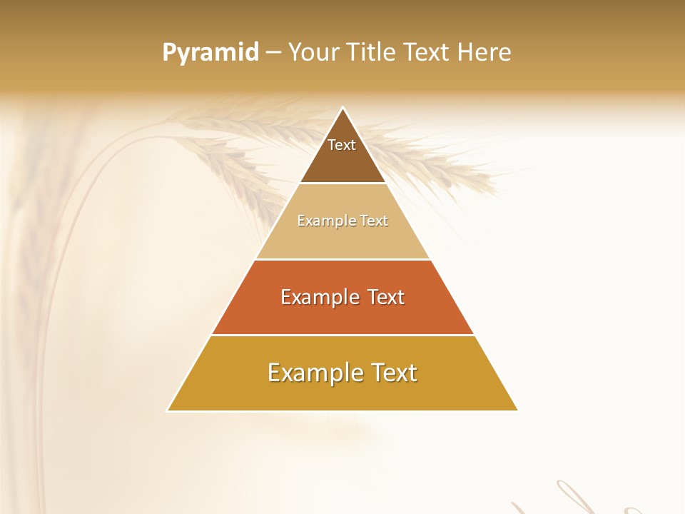 Wheat Agricultural Plant PowerPoint Template