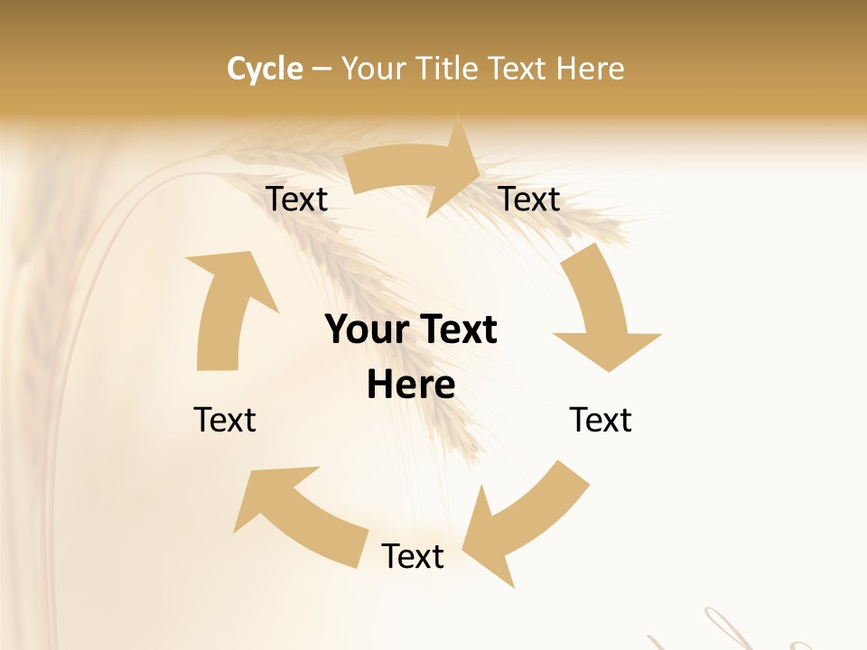 Wheat Agricultural Plant PowerPoint Template