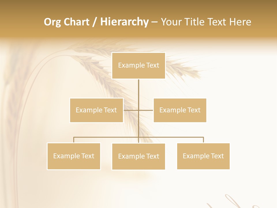Wheat Agricultural Plant PowerPoint Template