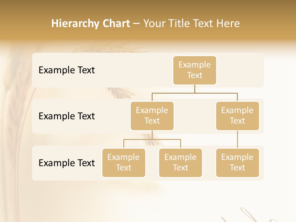 Wheat Agricultural Plant PowerPoint Template