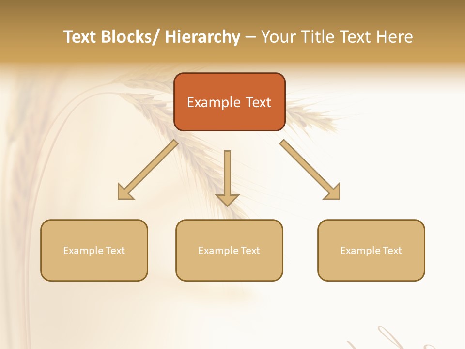 Wheat Agricultural Plant PowerPoint Template