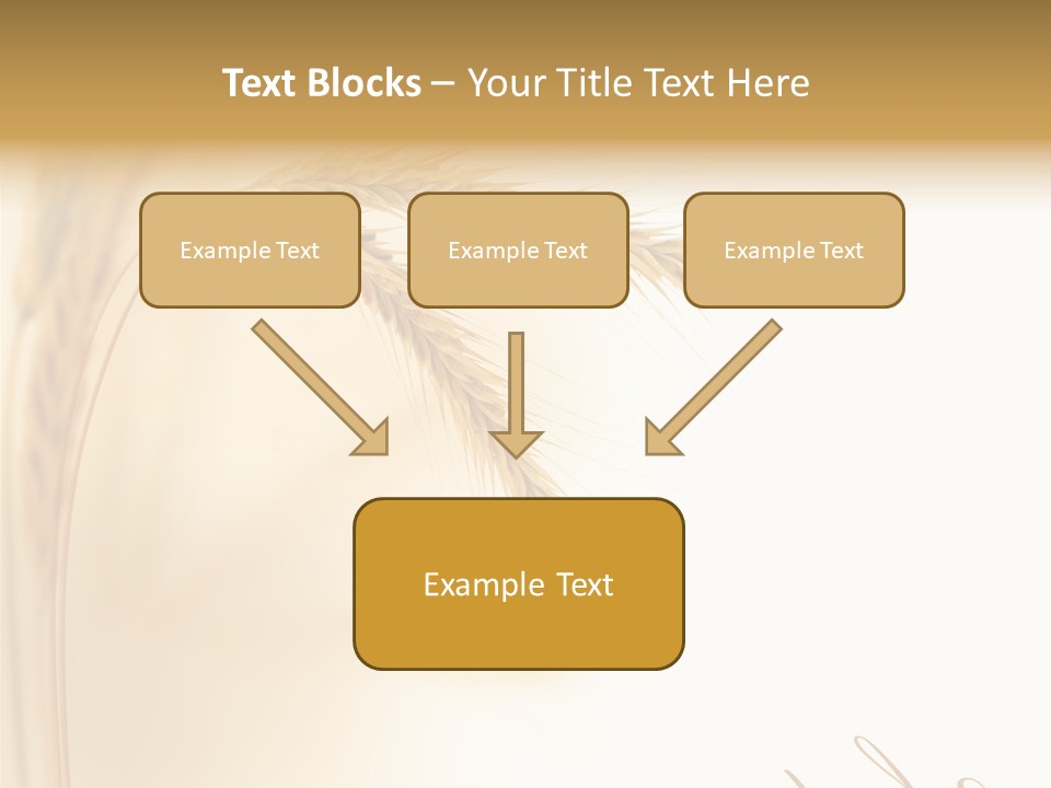 Wheat Agricultural Plant PowerPoint Template