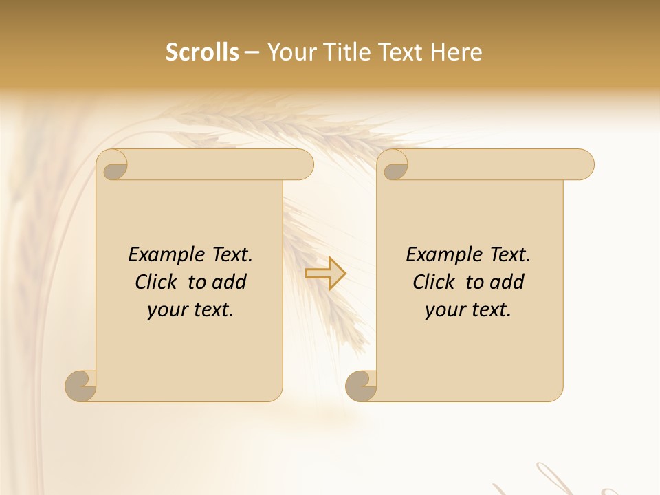 Wheat Agricultural Plant PowerPoint Template